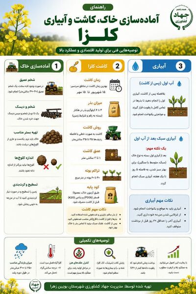 آماده سازی خاک، کاشت و آبیاری کلزا استان قزوین