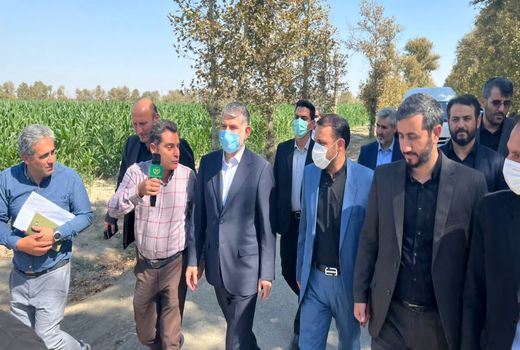 وزیر جهاد کشاورزی از مزرعه نمونه کشوری در استان تهران بازدید کرد