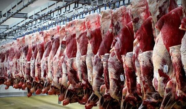  همه کشتارگاه‌های سنتی استان بوشهر تعطیل می‌شوند