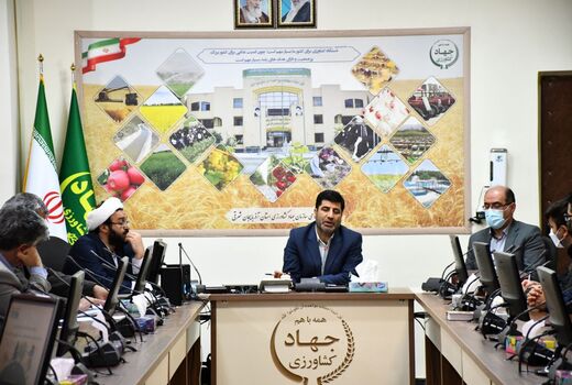 زمینه های فعالیت دانش بنیانی در بخش کشاورزی بسیار وسیع تر از سایر بخش ها است