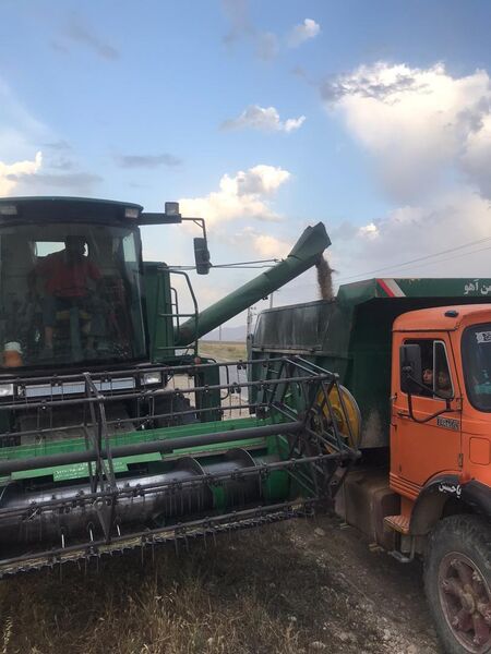 پیش‌بینی تولید 2568 تن محصول جو در شهرستان دامغان