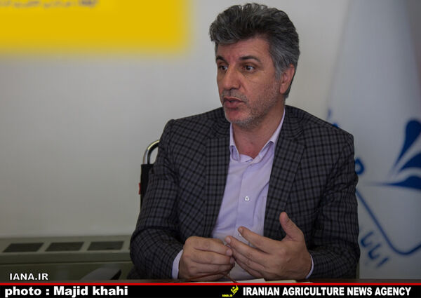 افزایش کشت پنبه درگلستان، کاهش در اصفهان
