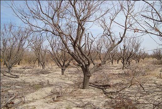 سیستان و بلوچستان، اردبیل و آذربایجان‌شرقی کم بارش‌ترین استان‌های کشور
