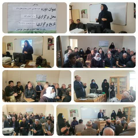 برگزاری دوره مهارتی کنترل بیماری های دام در شهرستان چرداول استان ایلام