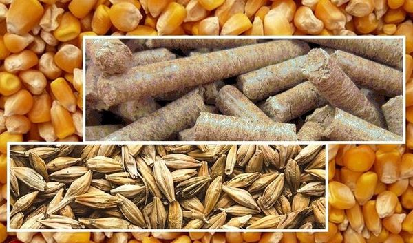 لزوم نظارت، پایش و کنترل روند تامین و توزیع نهادههای بخش کشاورزی در استان مرکزی