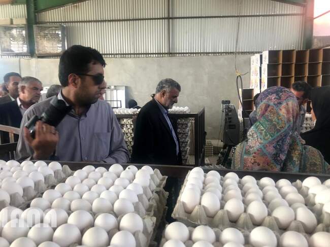 بازدید و بهره برداری پروژه های بخش کشاورزی در سفر وزیر جهاد کشاورزی به استان فارس