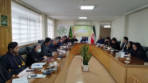 تحقق حدود ۶۳ درصدی سطوح برنامه ابلاغی طرح جهش تولید در دیمزارهای آذربایجان غربی