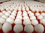 ممنوعیت فروش شانه‌ای تخم مرغ در همدان