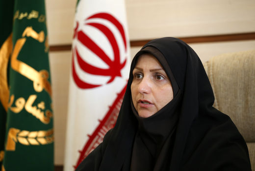 98 طرح عمرانی و تولیدی بخش کشاورزی استان قزوین در دهه فجر افتتاح می شود 