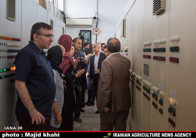بازدید از کارخانه آرد