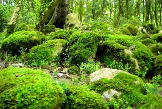 2 میلیارد تومان هزینه شد