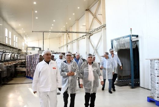 آغاز کار مدرن‌ترین گوسفند‌داری کشور 