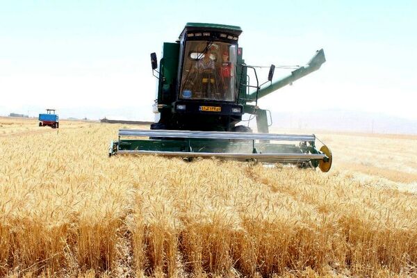 بستر لازم برای خرید گندم کشاورزان فراهم شود