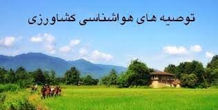 هشدار هواشناسی به کشاورزان استان تهران: احتمال آسیب به محصولات کشاورزی و گلخانه ها