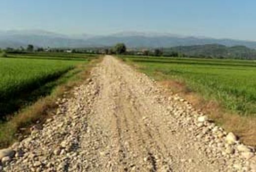 نیاز کشتزارهای خراسان شمالی به چهار هزار و ۸۷۶ کیلومتر جاده بین مزارع
