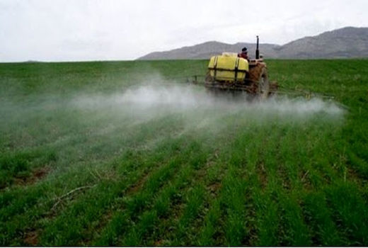 مدیریت و کنترل علف‌های هرز در مزارع گندم و جو خراسان شمالی