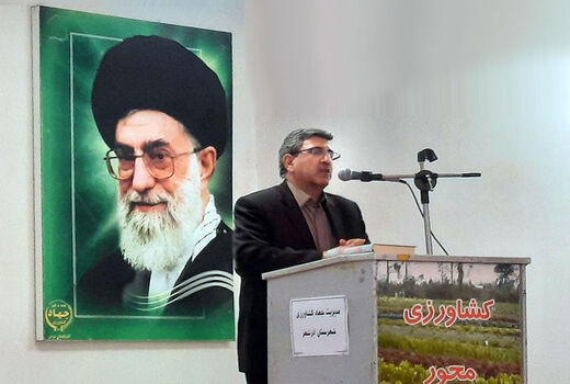 صادرات محصولات تولیدی کشاورزی، در گرو توجه به زنجیره تولید