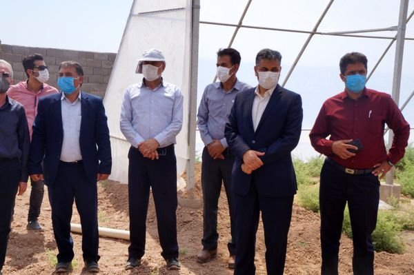 بازدید مشاور وزیر جهاد کشاورزی از مجتمع گلخانه‌ای در آرادان