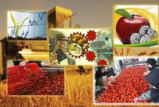 افزایش 40 میلیون تنی ظرفیت فرآوری، نگهداری و بسته بندی محصولات کشاورزی