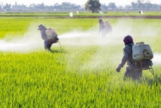 هشدار درمورد مصرف بیش از حد سموم کشاورزی در اصفهان