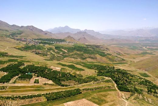 طرح توسعه باغات در اراضی شیبدار چهارمحال و بختیاری بهره برداری می شود