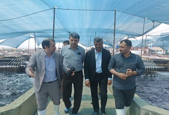 تکمیل زنجیره تولید، گامی برای تضمین سلامت محصولات شیلاتی در مجتمع شهید سلیمانی
