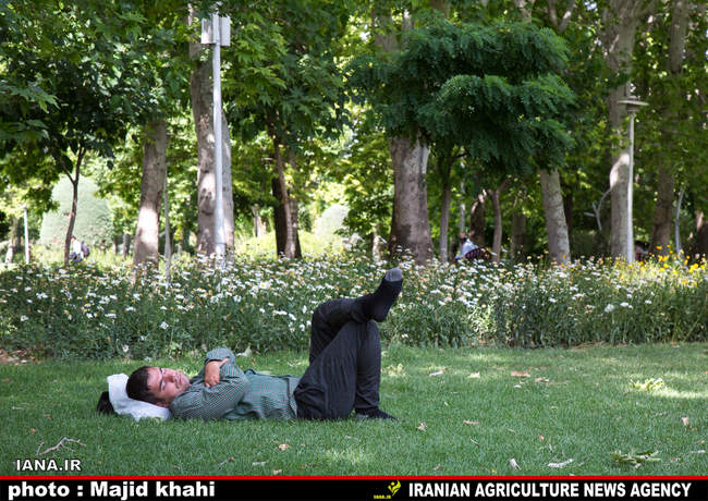 استراحت در فضای سبز شهری