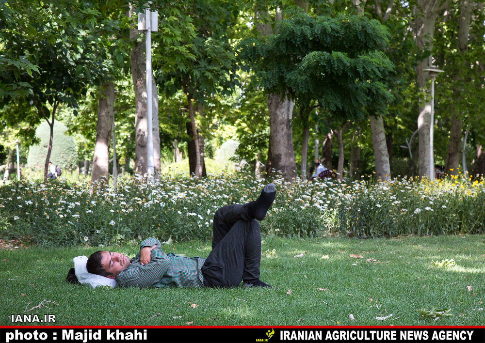 استراحت در فضای سبز شهری