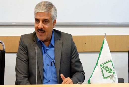 خرید 330 میلیارد تومان جو داخلی توسط صندوق حمایت از توسعه بخش کشاورزی