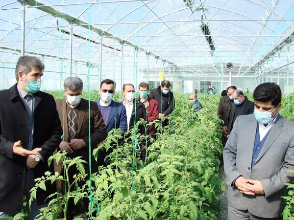 توسعه کشت های گلخانه ای در آذربایجان شرقی ضرورتی اجتناب ناپذیر است