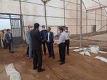 همه همت ما این است که از فرصت خدمت‌رسانی نهایت استفاده را بکنیم