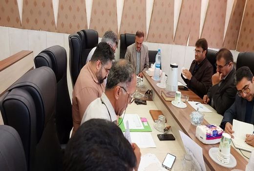 ۵۲۱ هکتار اراضی غیر ملی در شهرستان دیر تثبیت شد