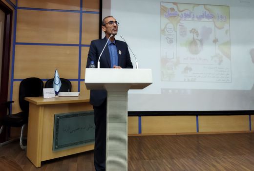 استان البرز ظرفیت های بی نظیری برای توسعه صنعت زنبورداری دارد