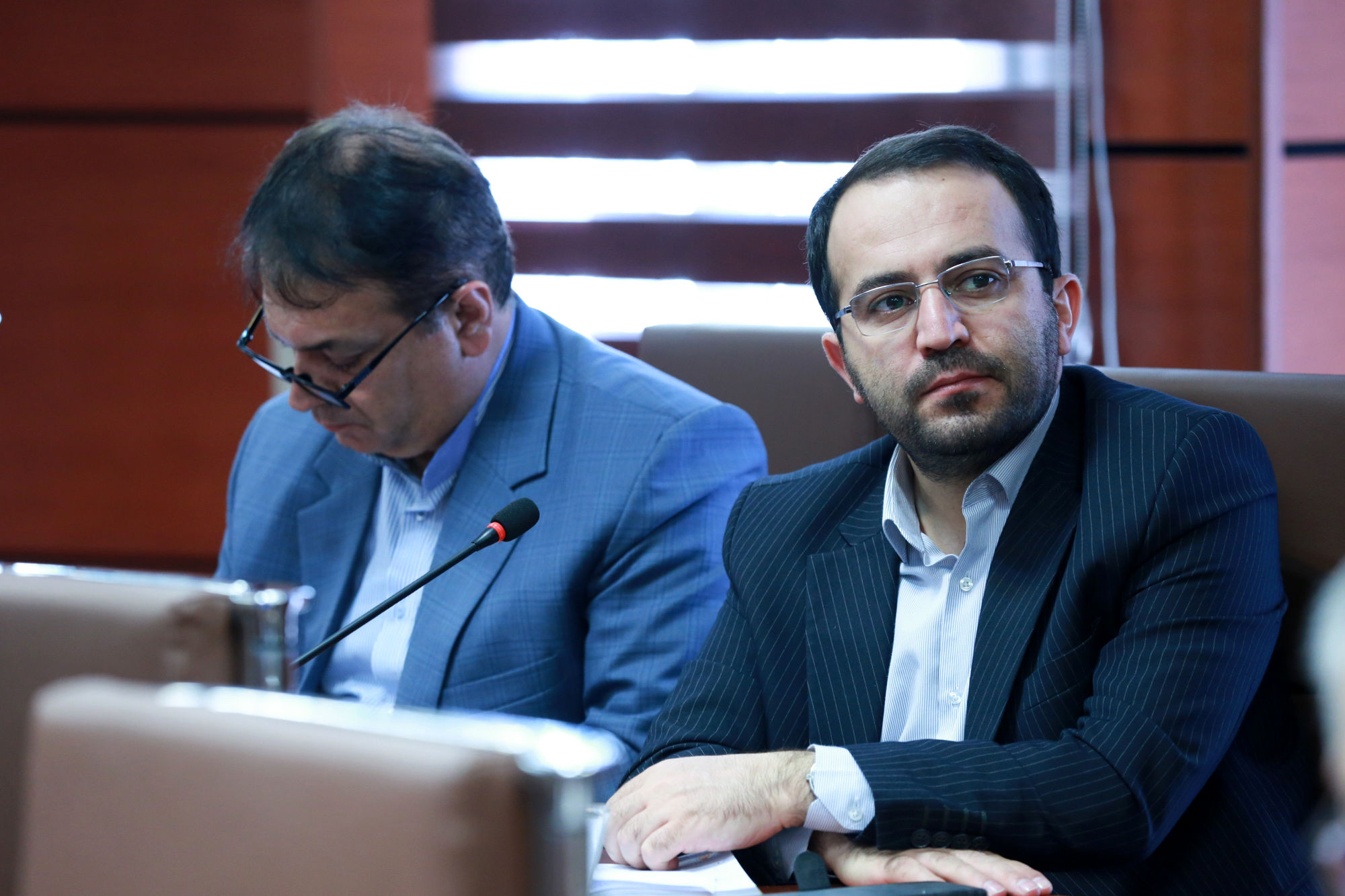  نشست خبری معاون وزیر جهاد کشاورزی و رییس سازمان دامپزشکی کشور 