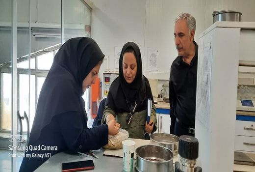 نظارت کارشناسان فنی بخش کشاورزی بر خرید تضمینی گندم در قزوین