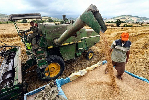 سیاست قیمت تضمینی منطقی‌تر خرید تضمینی