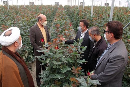 افتتاح گلخانه ی گل در بخش ارژن شیراز 