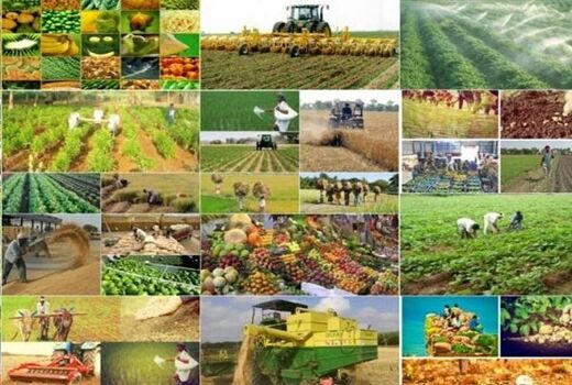 شرکت‌های سهامی زراعی الگوی موفق علمی برای افزایش بهره‌وری
