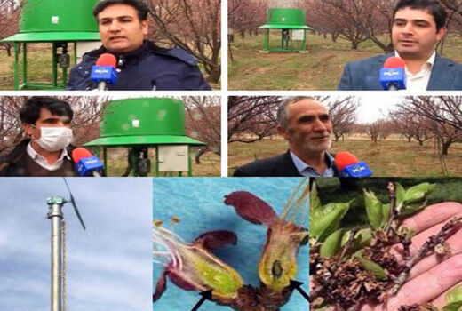 نصب و راه اندازی سامانه‌های ضدسرما در سطح باغات شهرستان مراغه