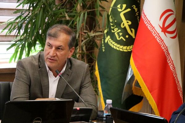 جهش ۳ میلیارد دلاری تراز تجاری در بخش کشاورزی؛ موز ایرانی در راه خودکفایی