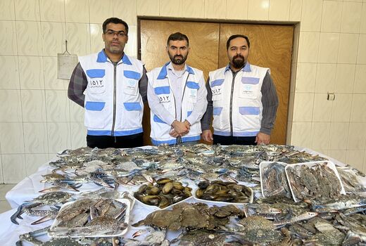 کشف و ضبط 250 کیلوگرم انواع آبزیان حرام گوشت در شهر اهواز