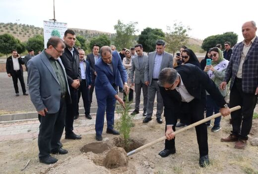 کاشت ۱۰۰ اصله نهال در ورزشگاه یادگار امام (ره) تبریز؛ تداوم پویش‌های درختکاری در آذربایجان شرقی