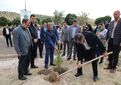 کاشت ۱۰۰ اصله نهال در ورزشگاه یادگار امام (ره) تبریز؛ تداوم پویش‌های درختکاری در آذربایجان شرقی