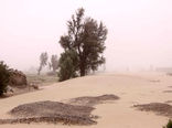 اختصاص 100 میلیارد تومان اعتبار به بخش آب وخاک سیستان وبلوچستان