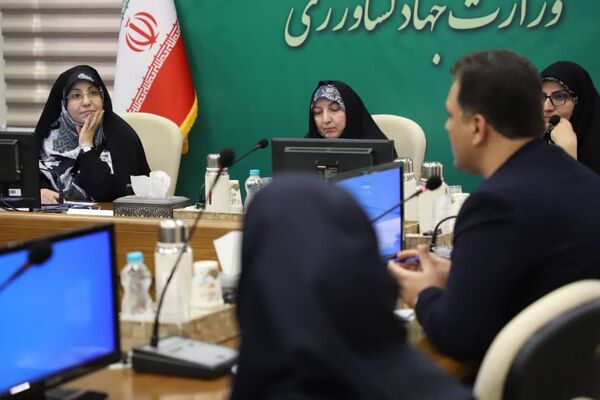 تأکید بر هم‌افزایی مشاوران امور زنان سازمان‌های تابعه در همکاری با دفتر بریکس زنان در ایران
