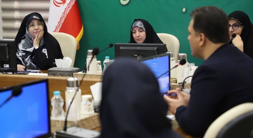 تأکید بر هم‌افزایی مشاوران امور زنان سازمان‌های تابعه در همکاری با دفتر بریکس زنان در ایران