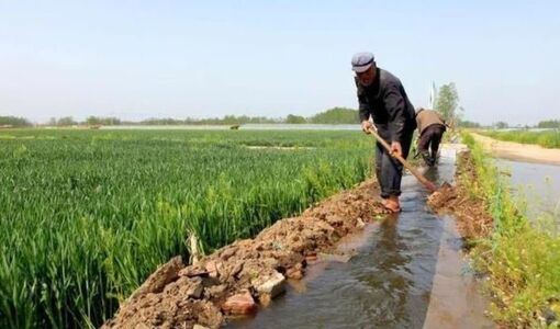 مالچ، یخ‌آب و مدیریت مشارکتی حقابه؛ تجربه‌های بومی کشاورزان در بهینه‌سازی مصرف آب