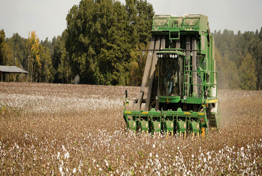 آمادگی ایران برای همکاری با غنا در زمینه تحقیقات، آموزش و ترویج کشاورزی