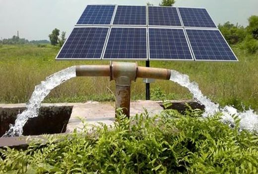 وابستگی کشاورزی فارس به سوخت‌های فسیلی کاهش می‌یابد/ گسترش نیروگاه‌های خورشیدی 