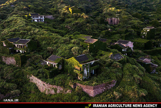 روستایی در محاصره گیاهان 